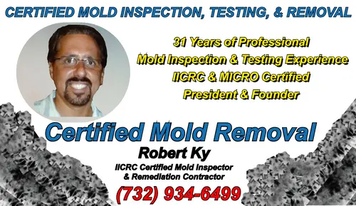 Certified Mold Removal owner reviewing mold testing results and contracts for Freehold clients. Providing air quality clearance that property meets safe air quality standards.