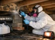 Crawl Space Mold Removal Done Right