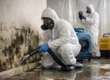 Emergency Mold Service After a Leak
