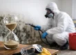 How Long Does Mold Remediation Take?