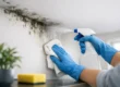 How to Stop Mold Returning for Good