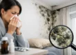 Top Signs of Mold Exposure at Home
