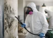 Fairfield County Mold Remediation Done Right