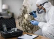 Freehold Mold Testing Services That Get It Right