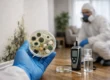 Guide to Indoor Mold Testing