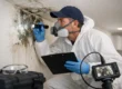 Manalapan Mold Inspection Company Guide