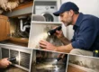 Musty Odor Source Detection: What to Check