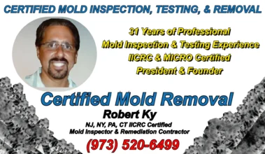 Robert Ky, founder of Certified Mold Removal Serving NJ, NY, PA, CT displays his IICRC & MICRO certifications with 31 years of abatement knowledge.