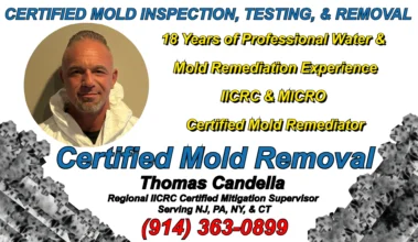 Thomas Candella, regional mold remediation supervisor Serving NJ, NY, PA, CT displaying his IICRC & MICRO certifications with 18 years of cleanup supervision experience.