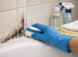 Bathroom Mold Removal Steps That Actually Work