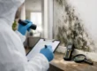 Best Mold Inspection Checklist for Buildings