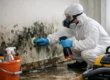 How to Clean Mold After Flooding Safely