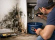 How to Fix a Mold Source Before Mold Cleanup