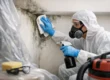 How to Remove Mold Safely Without Spreading It