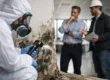 Commercial Mold Response Guide for Building Owners