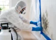 A Guide to Safe Mold Containment at Home