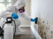 A Real Water Damage Mold Remediation Example