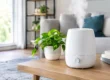 Best Ways to Control Humidity in Your Home