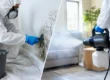 Fogging Versus Mold Remediation Explained