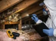 How to Prevent Attic Mold Before It Spreads