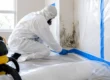 Best Containment Methods for Mold Removal