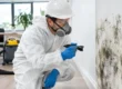Commercial Mold Remediation for Safer Workplaces