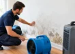 How to Dry Wet Walls Without Causing Mold