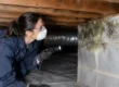 How to Inspect Crawlspace Mold Without Risk