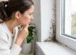 Top Causes of Window Mold and How to Stop Them